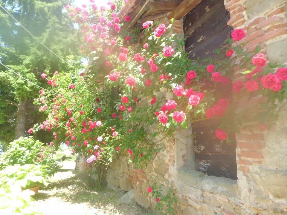 Hotel Bottega Di Montegiovi Scopeti Exteriér fotografie